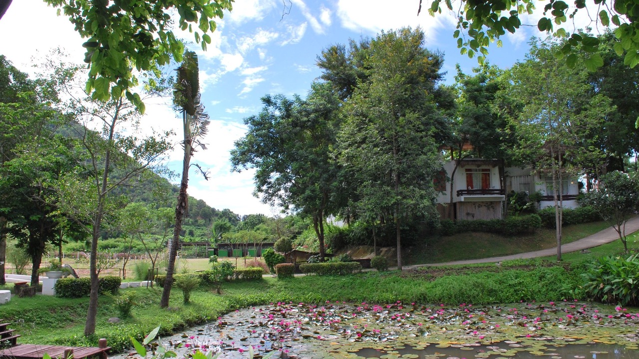 Photo of Outdoor in Suan Phueng