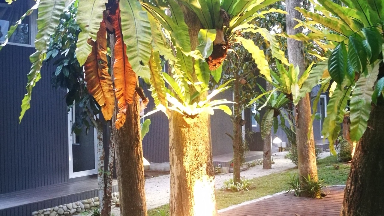 Photo of Outdoor in Kathun