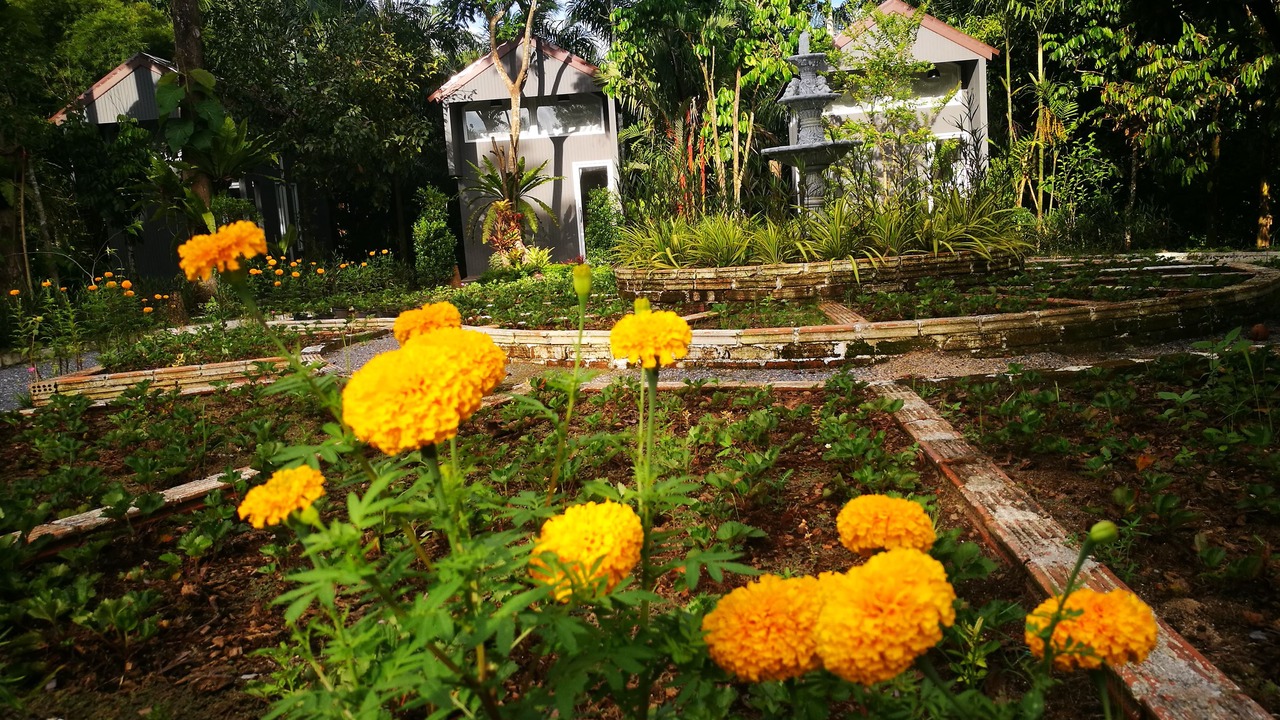 Photo of Outdoor in Kathun