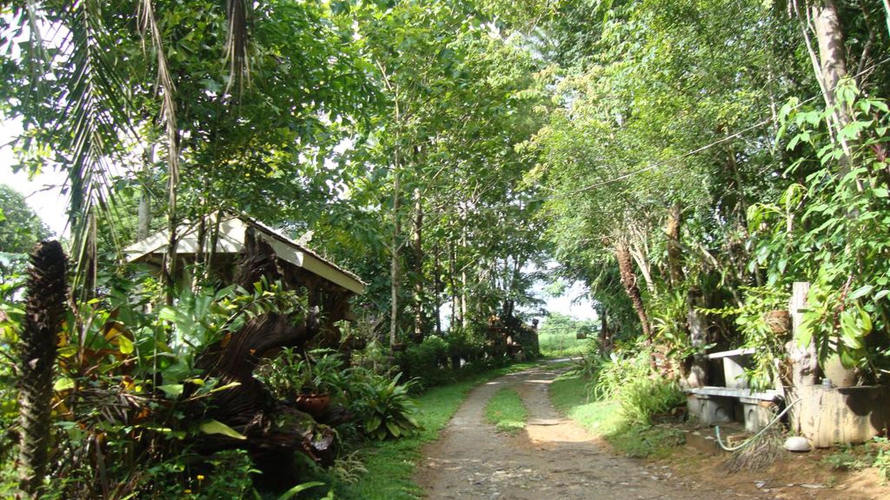 Photo of Outdoor in Mae Kon