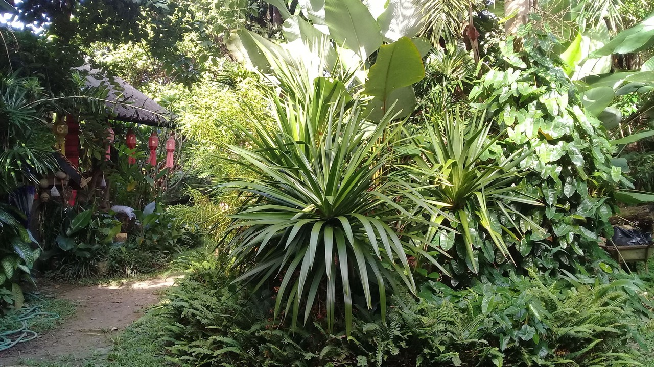 Photo of Outdoor in Mae Kon