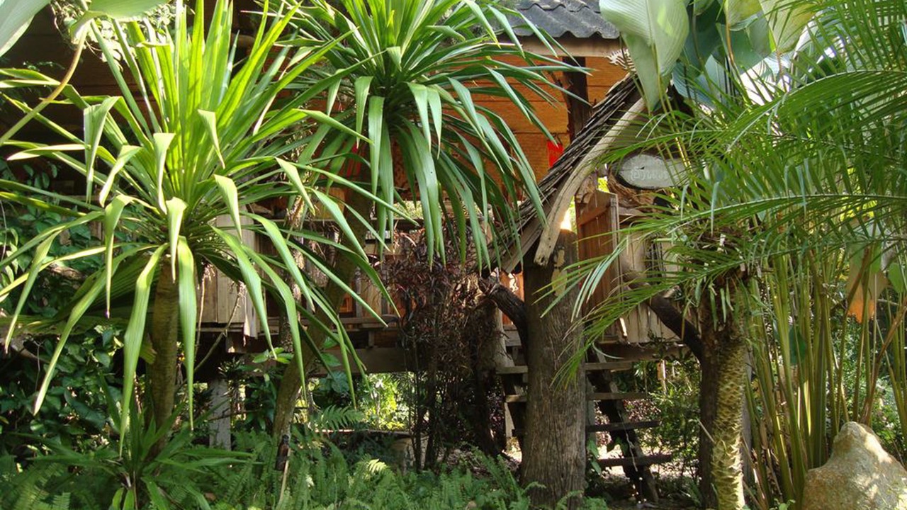 Photo of Outdoor in Mae Kon