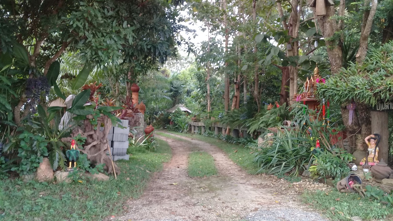 Photo of Outdoor in Mae Kon