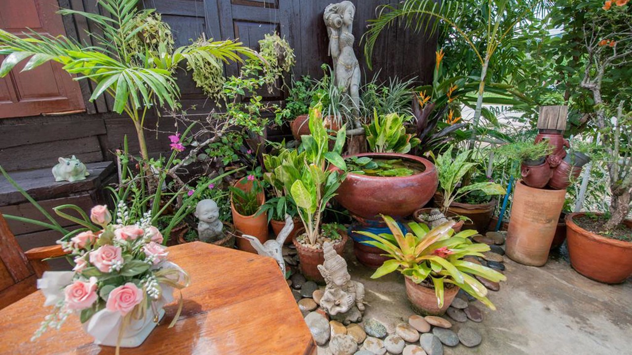 Photo of Outdoor in Thoeng