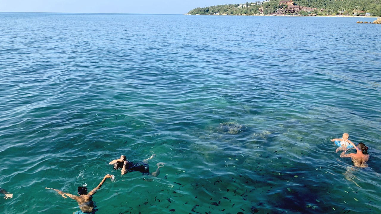 Photo of Others in Ko Pha-ngan