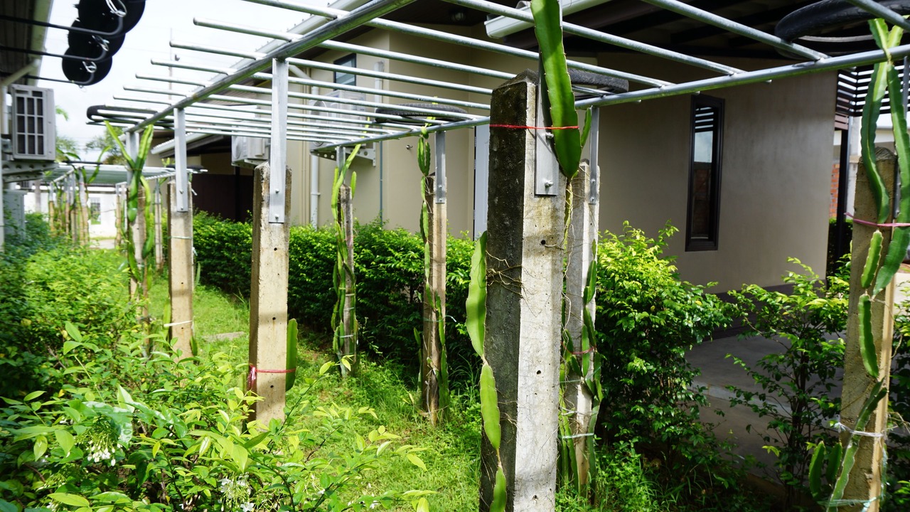 Photo of Outdoor in Thung Song