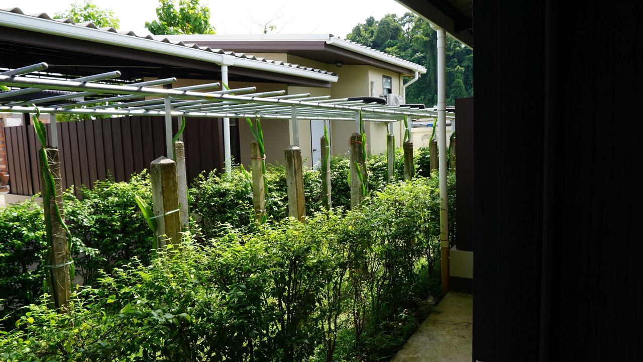 Photo of Outdoor in Thung Song
