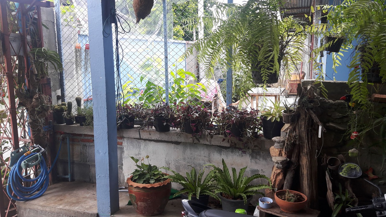 Photo of Outdoor in Ban Tai