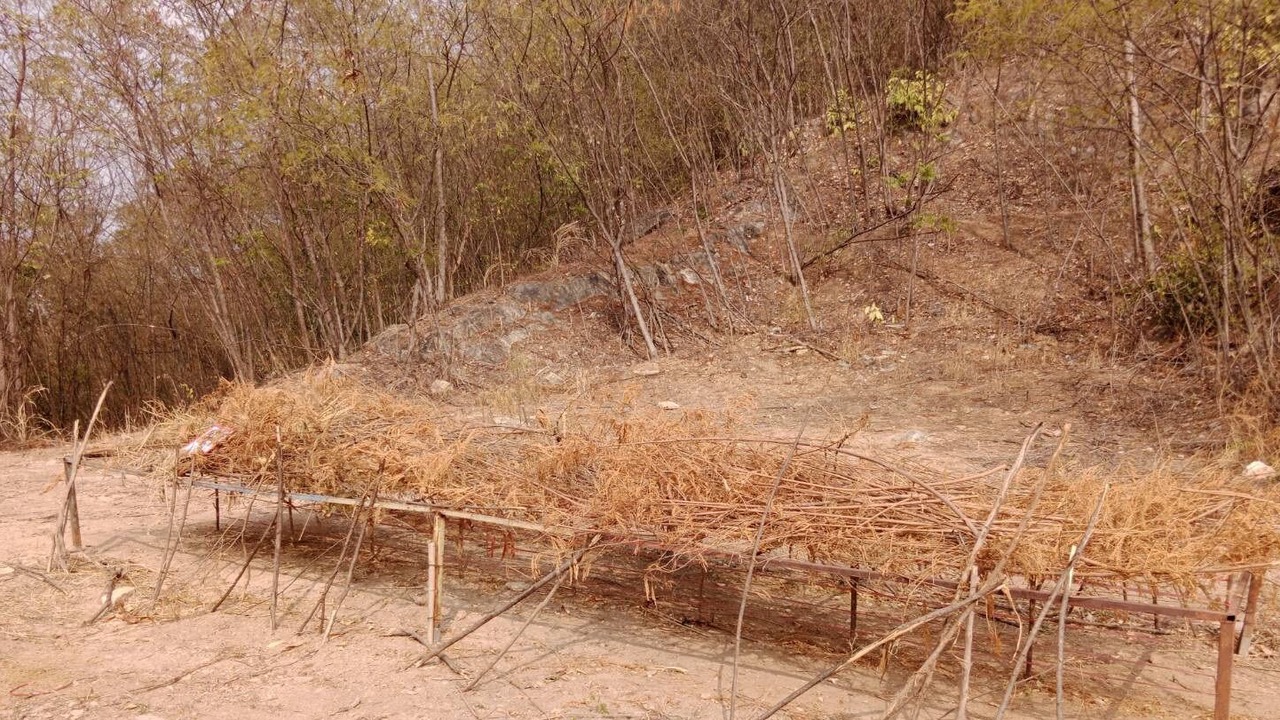 Photo of Others in Muak Lek