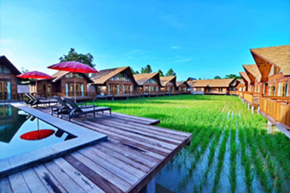 Photo of Outdoor in Makham Tia