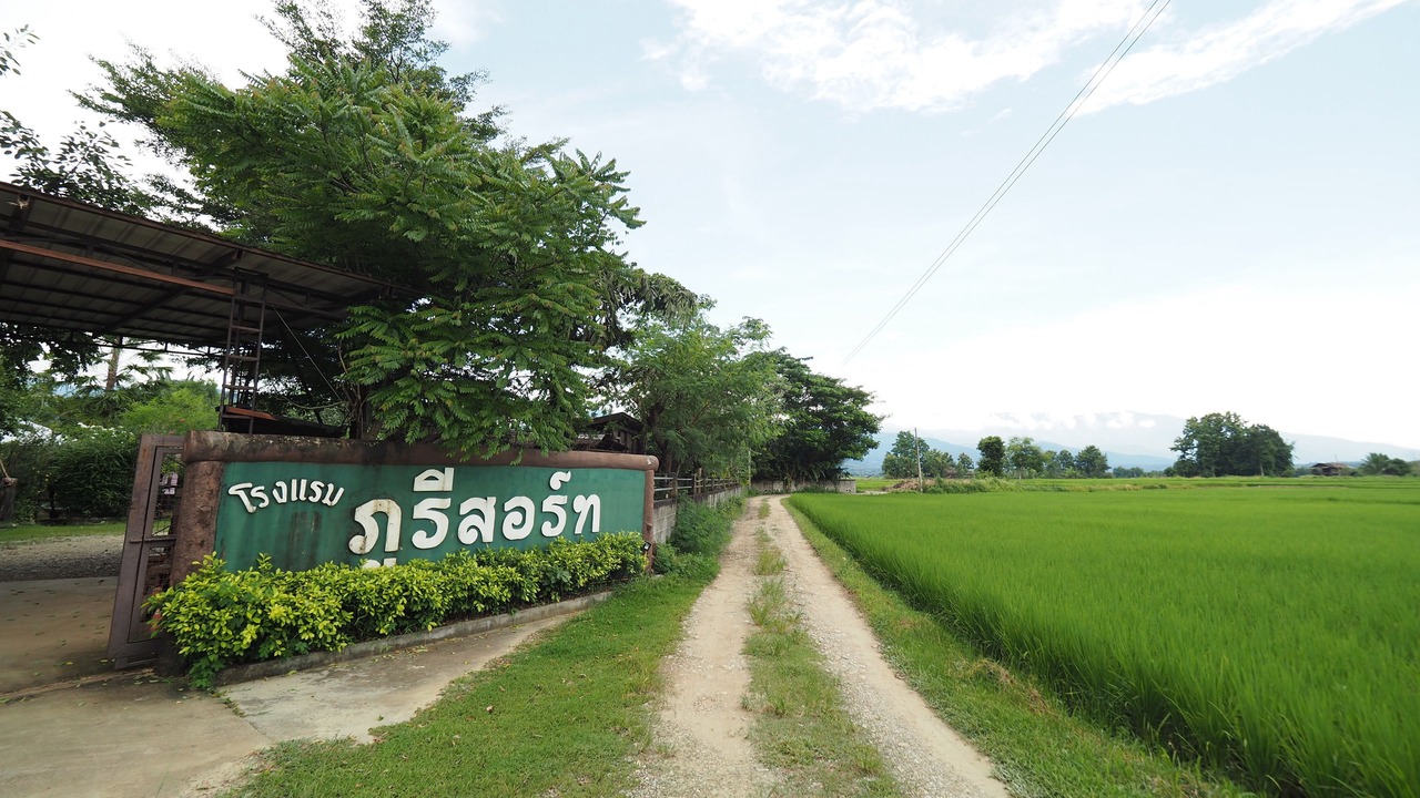 Photo of Outdoor in Pua