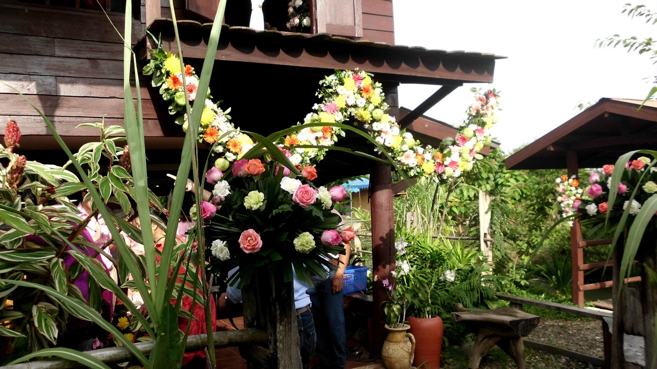 Photo of Outdoor in Pua
