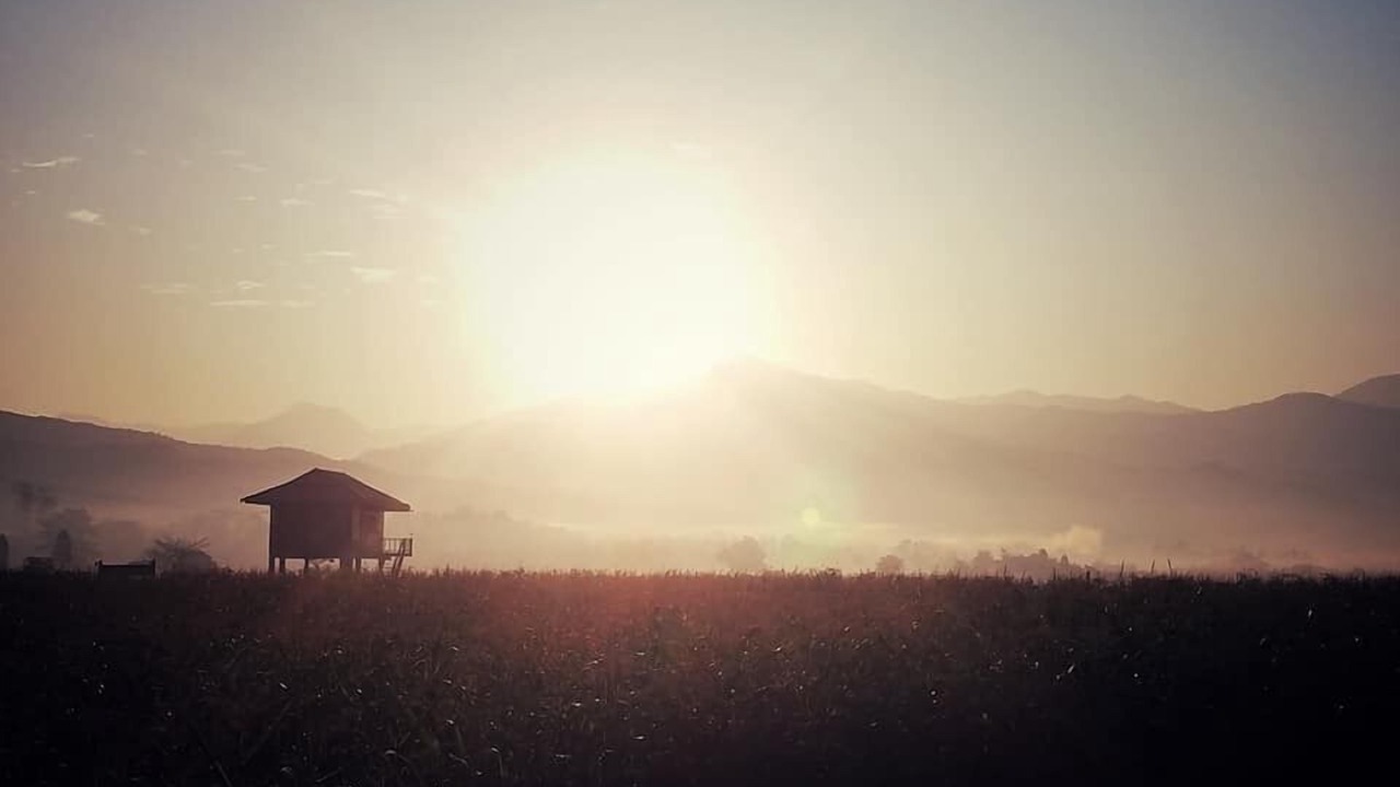 Photo of Outdoor in Pua