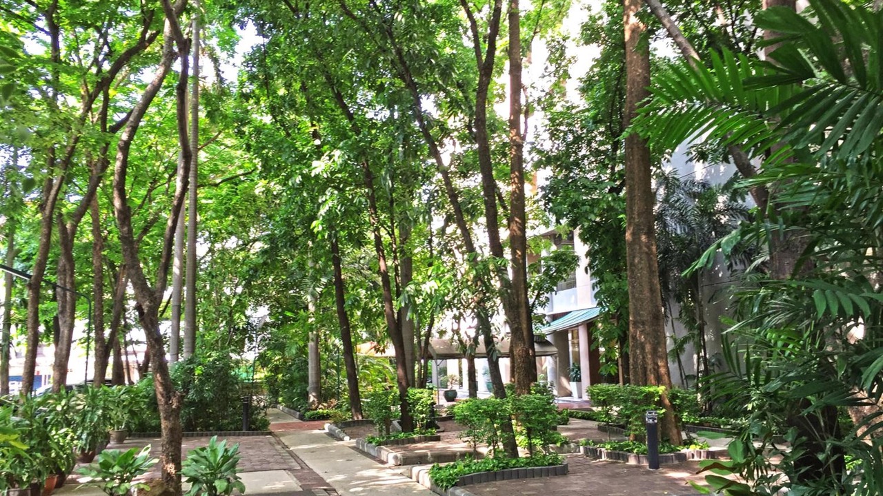 Photo of Outdoor in Bang Kho Laem