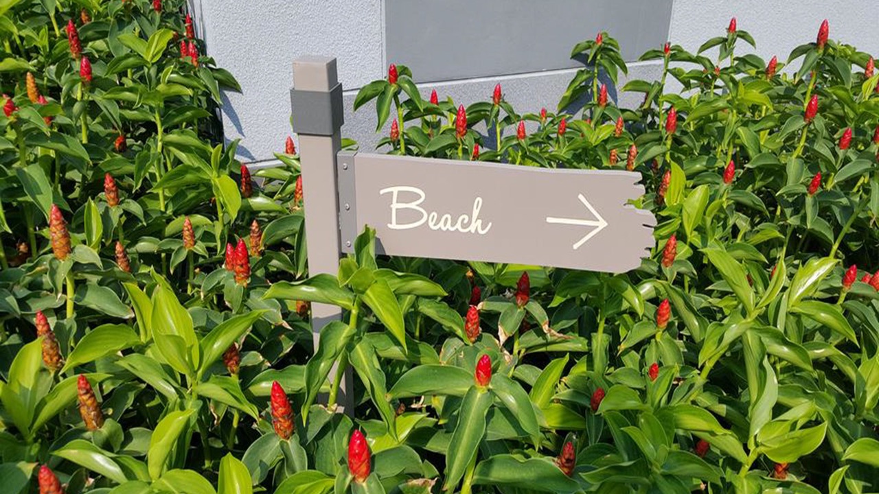 Photo of Outdoor in Cha-am