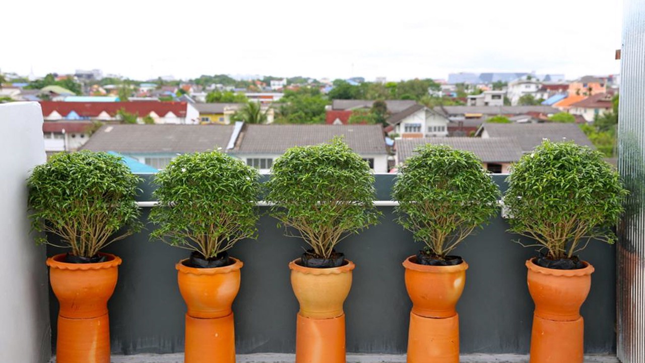 Photo of Outdoor in Khlang