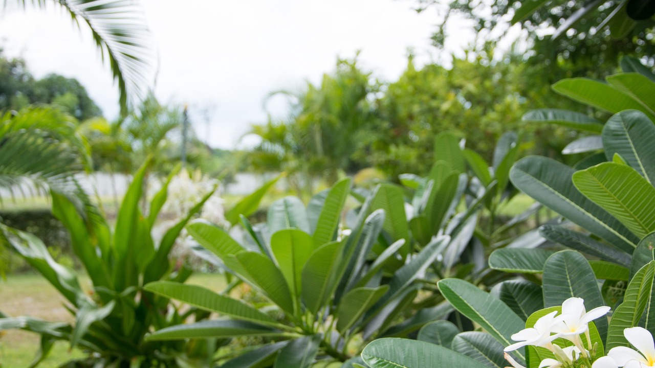 Photo of Outdoor in Chum Phae
