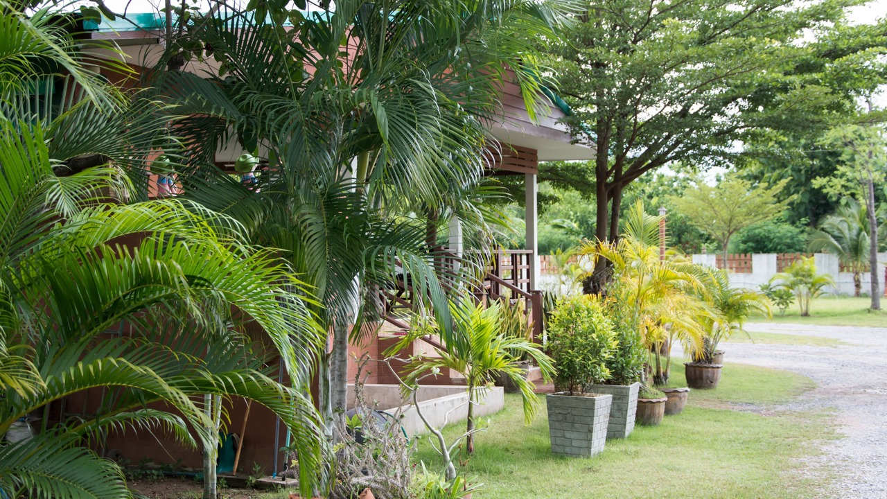 Photo of Outdoor in Chum Phae