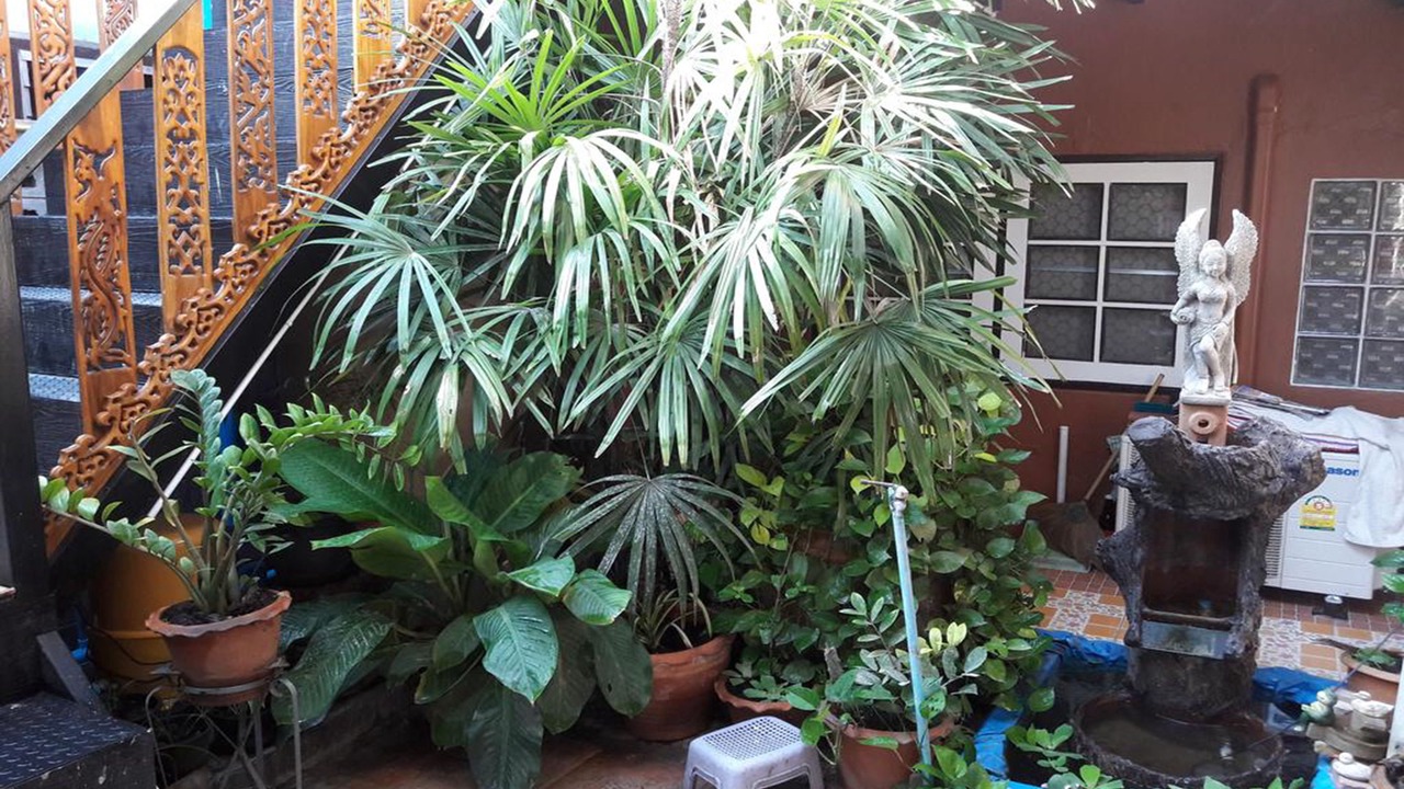 Photo of Outdoor in Don Muang