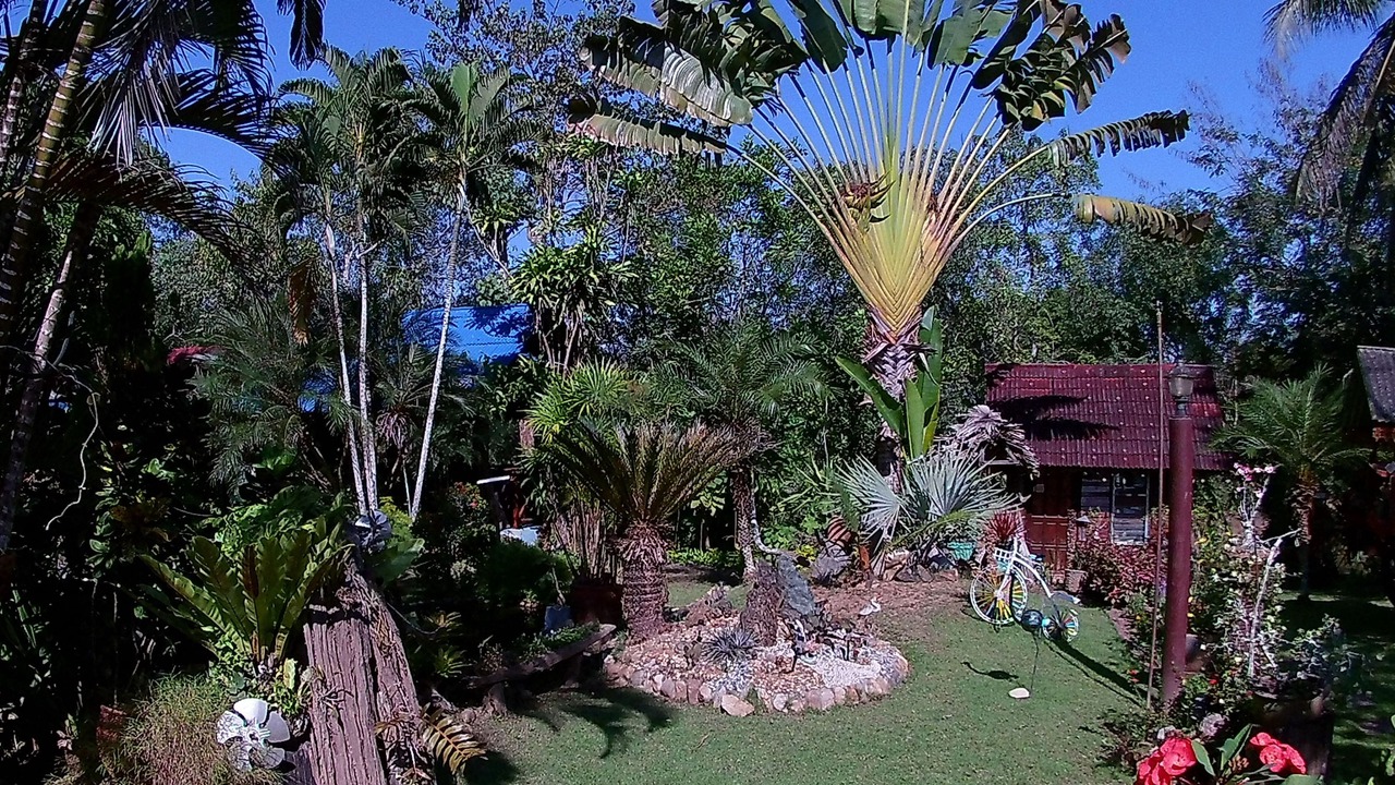 Photo of Outdoor in Cho Lae