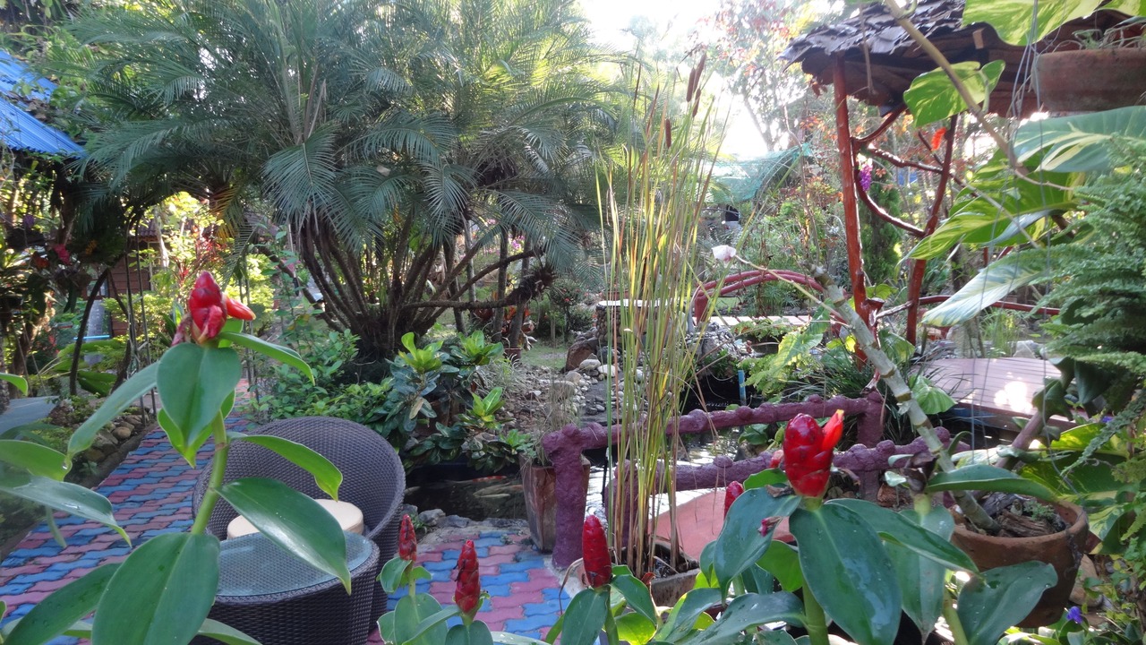 Photo of Outdoor in Cho Lae