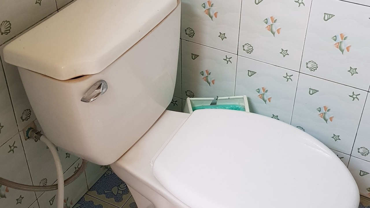 Photo of Bathroom in Phen
