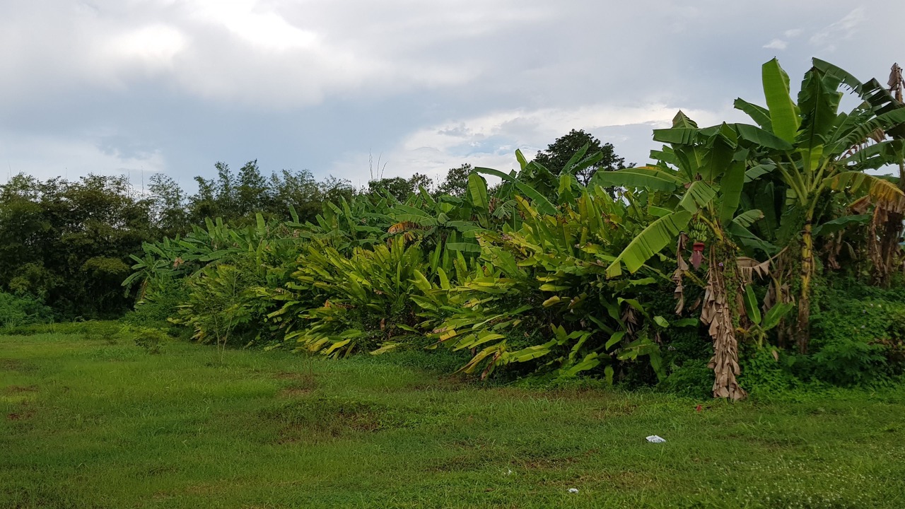 Photo of Outdoor in Phen