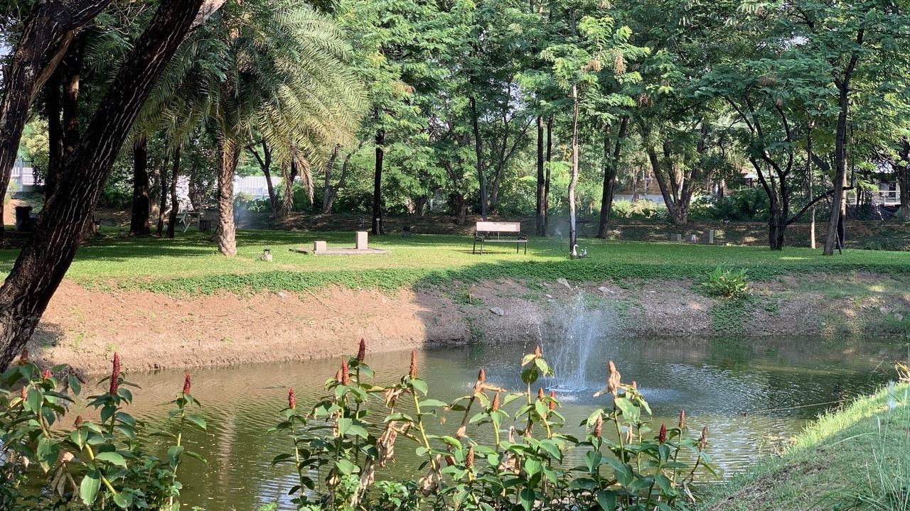 Photo of Outdoor in Nai Muang