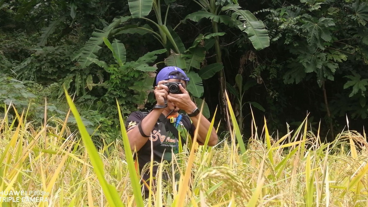 Photo of Others in Ban Rai