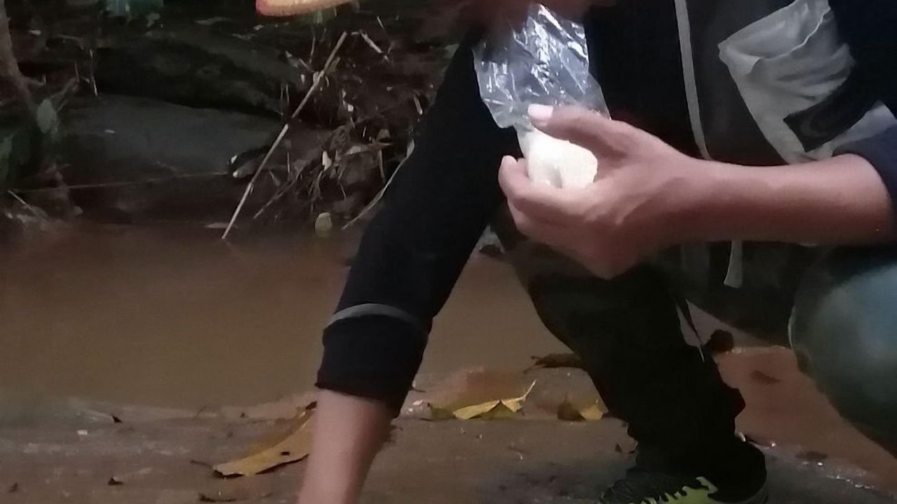 Photo of Others in Ban Rai