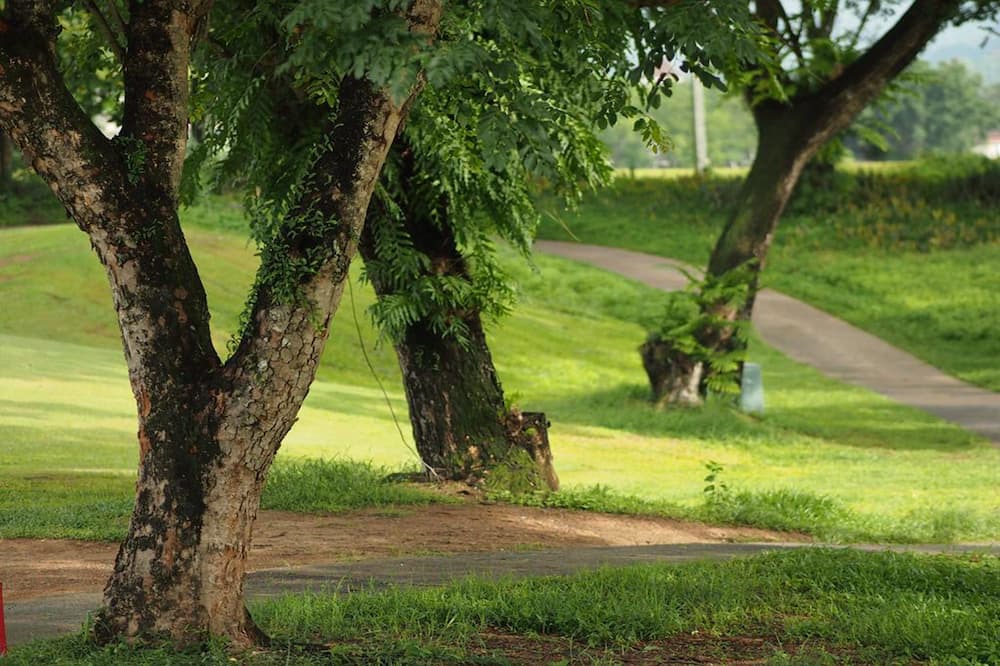 Photo of Outdoor in Sarika
