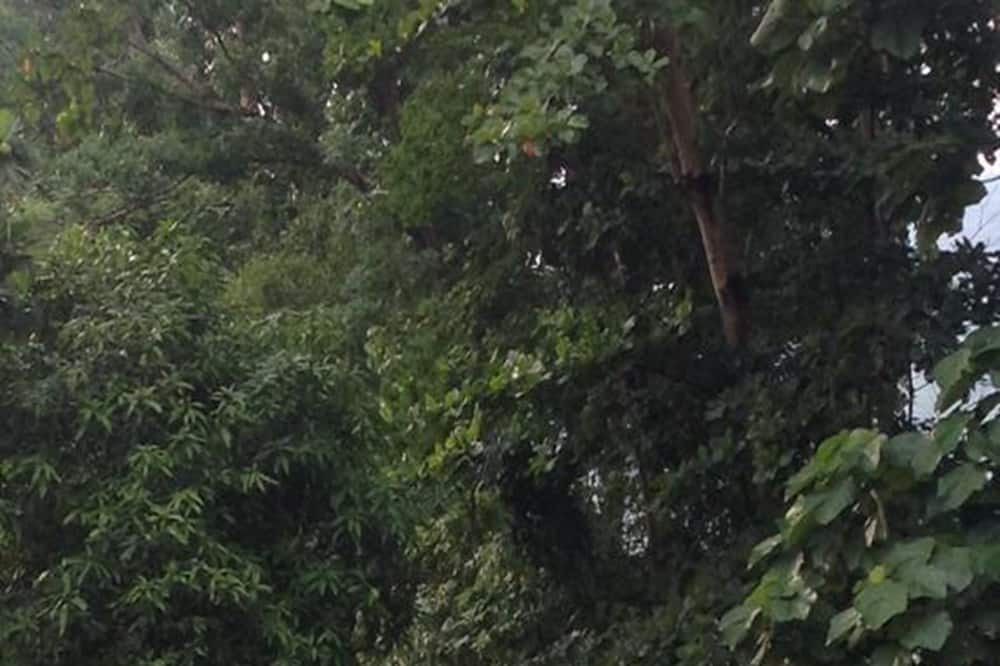 Photo of Outdoor in Sarika