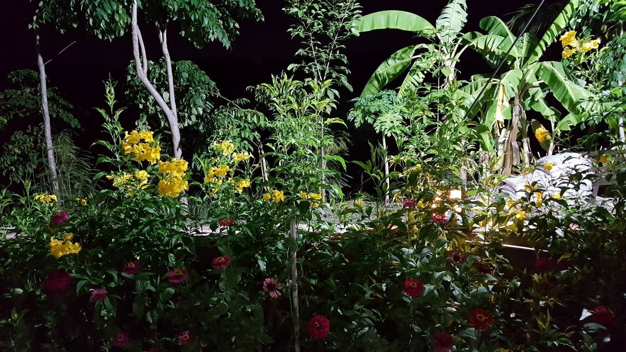Photo of Outdoor in Ban Chang