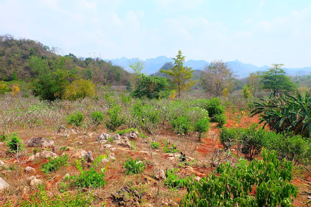 Photo of Outdoor in Sai Yok