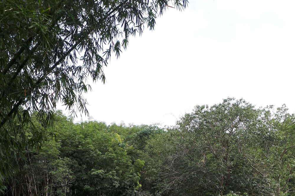 Photo of Outdoor in Pa Phayom