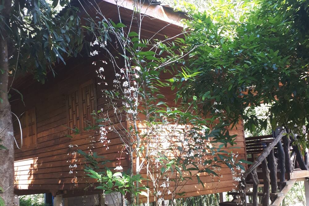 Photo of Outdoor in Pa Phayom