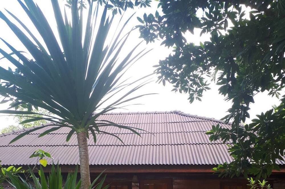 Photo of Bedroom in Pa Phayom