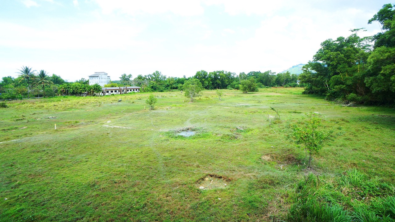 Photo of Others in Khok Kloi
