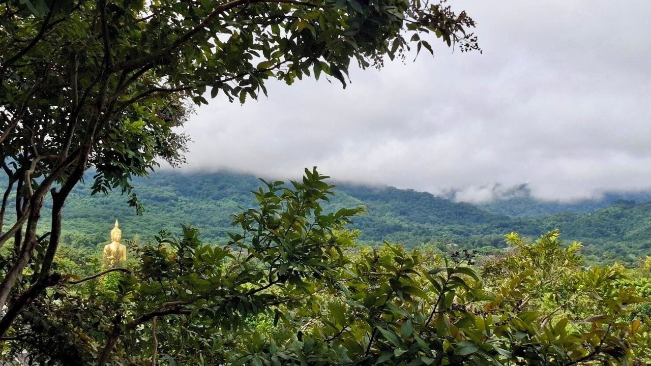 Photo of Outdoor in Mu Si