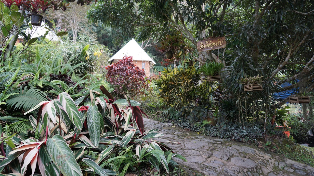 Photo of Outdoor in Tap Tao