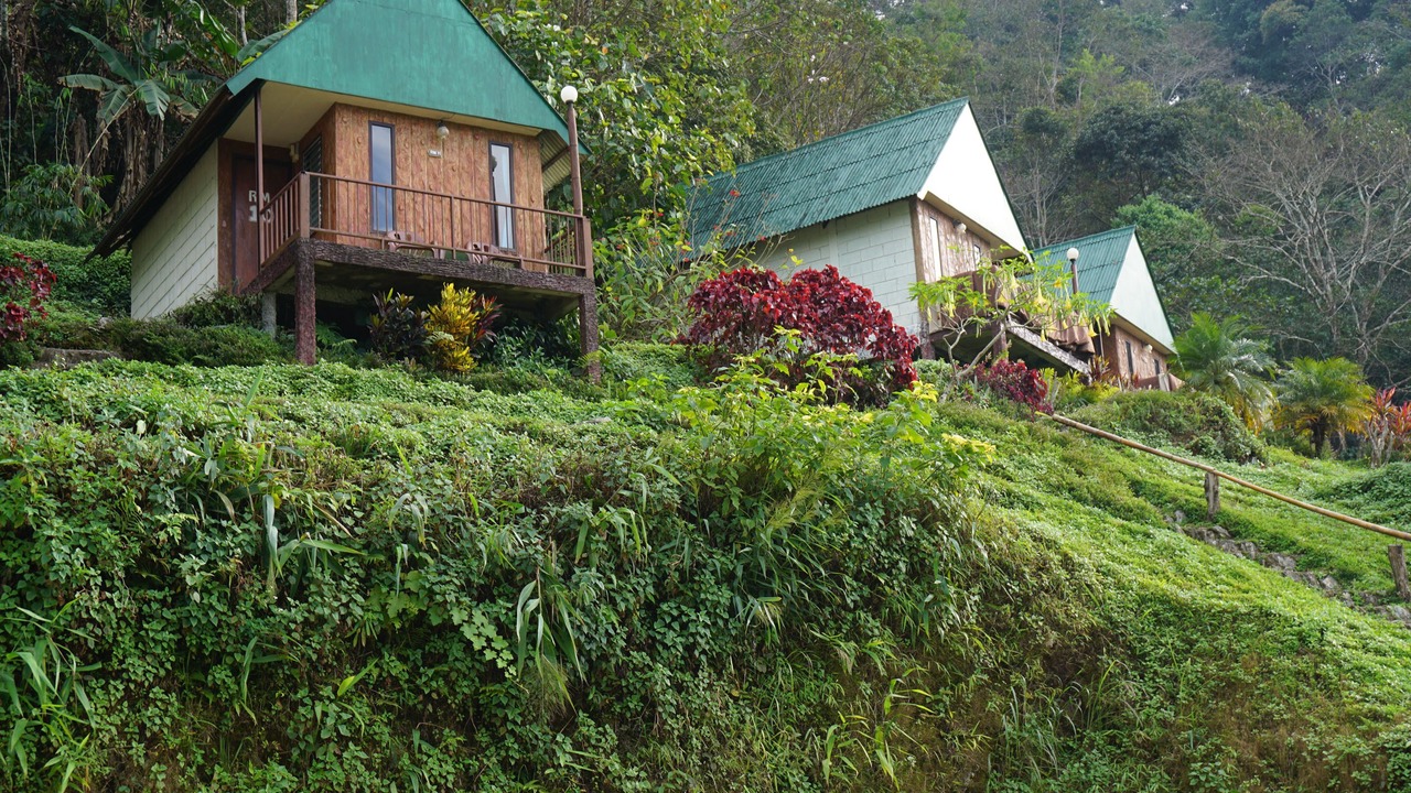 Photo of Outdoor in Tap Tao