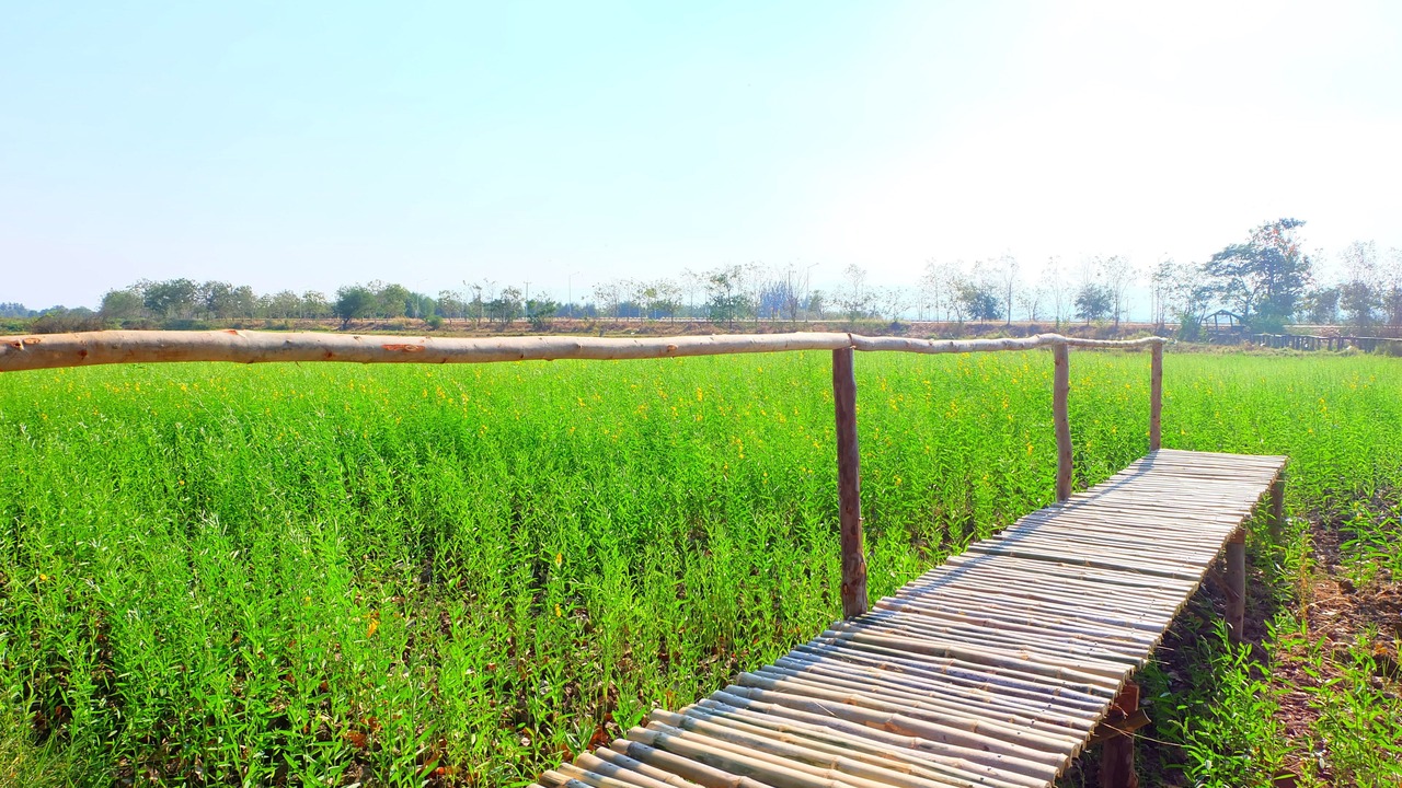 Photo of Outdoor in Tak