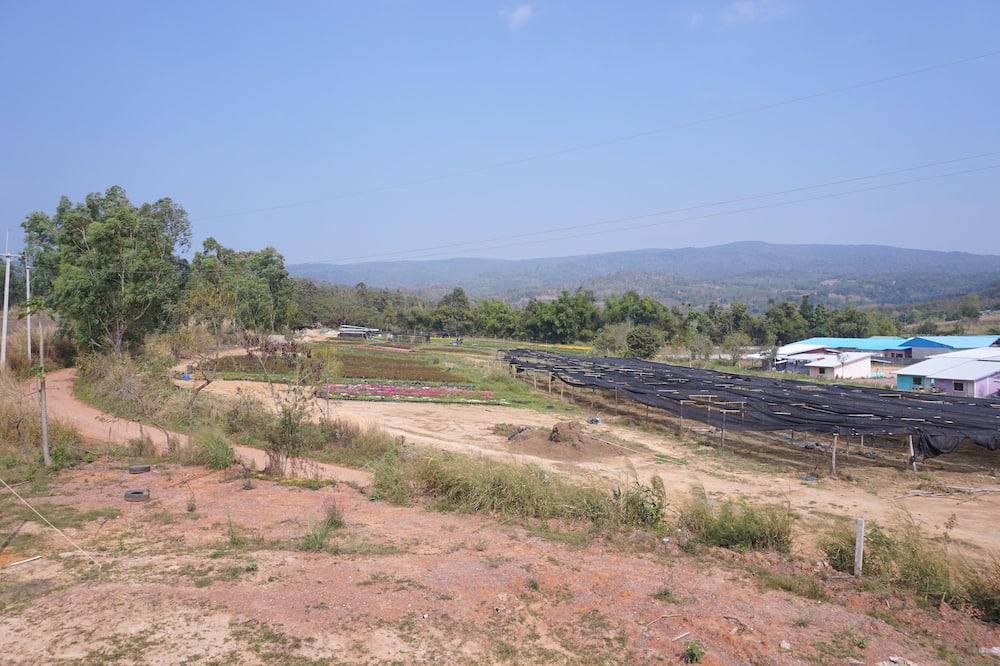 Photo of Outdoor in Phu Ruea