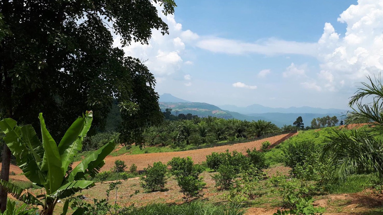 Photo of Outdoor in Phetchabun