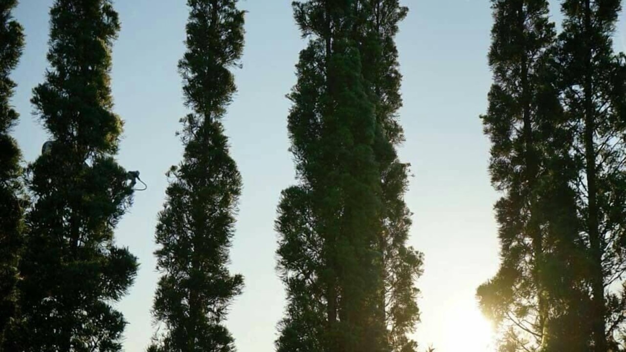 Photo of Outdoor in Wiang Chai