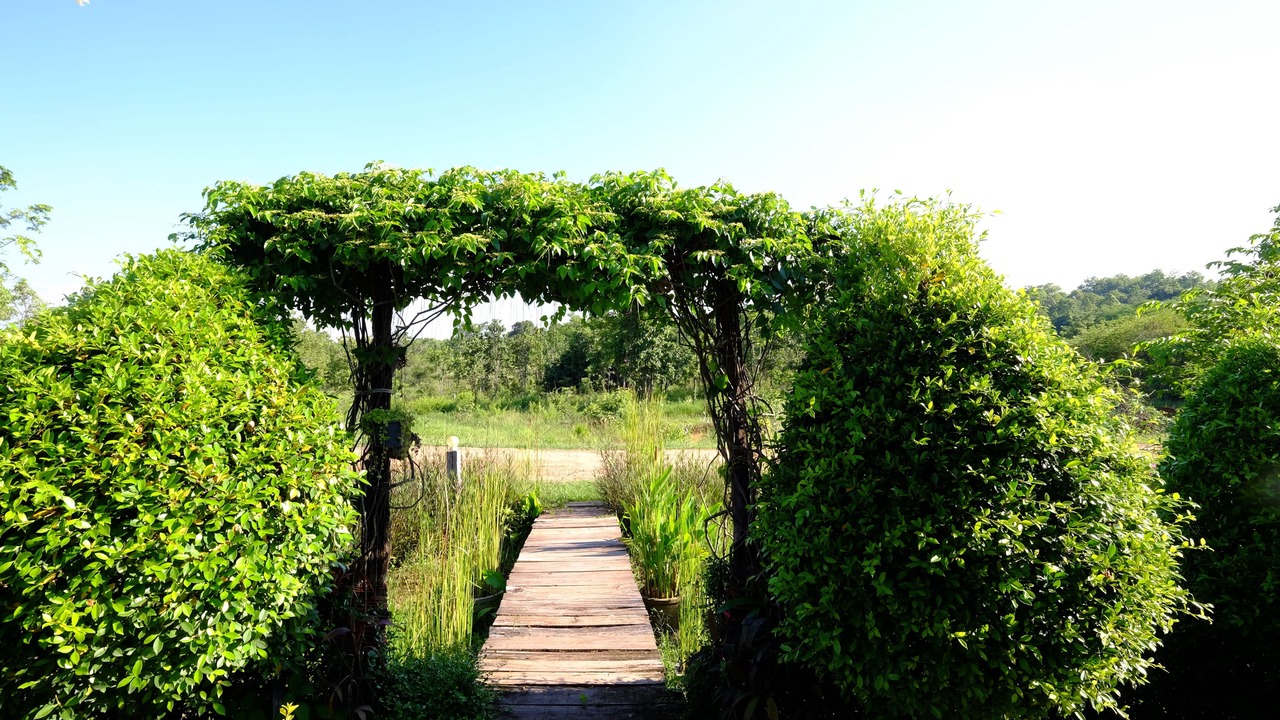 Photo of Outdoor in Phu Phan