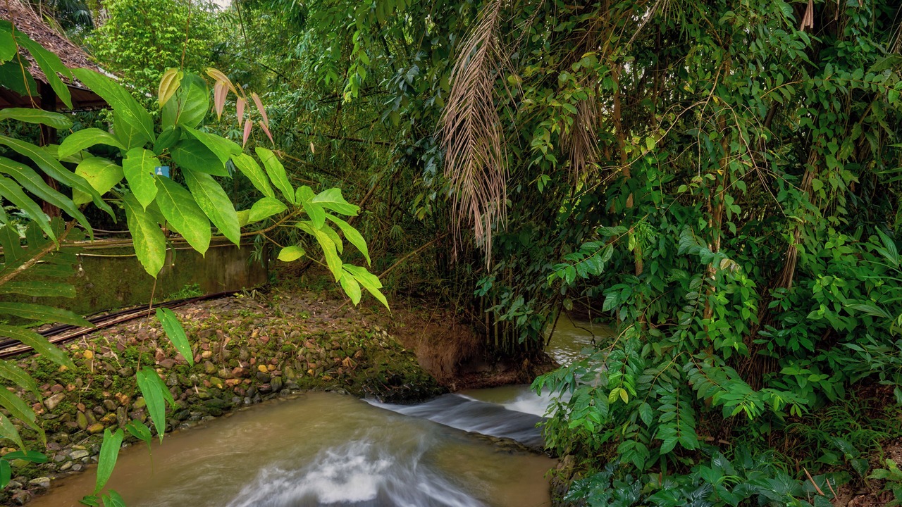 Photo of Outdoor in Ban Na Faek