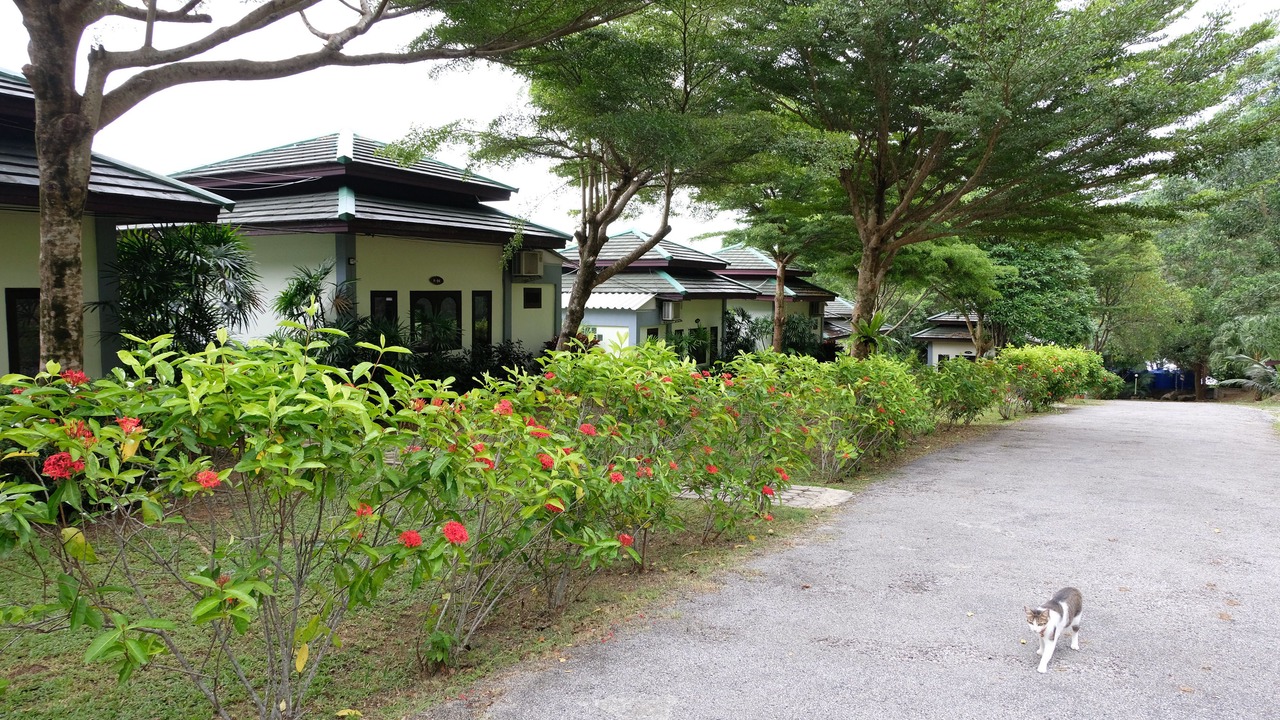 Photo of Outdoor in Khuekkhak