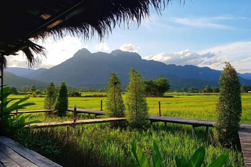 Photo of Outdoor in Lom Sak