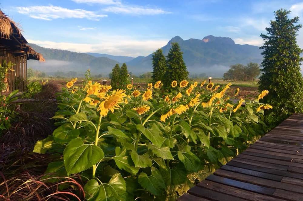 Photo of Outdoor in Lom Sak